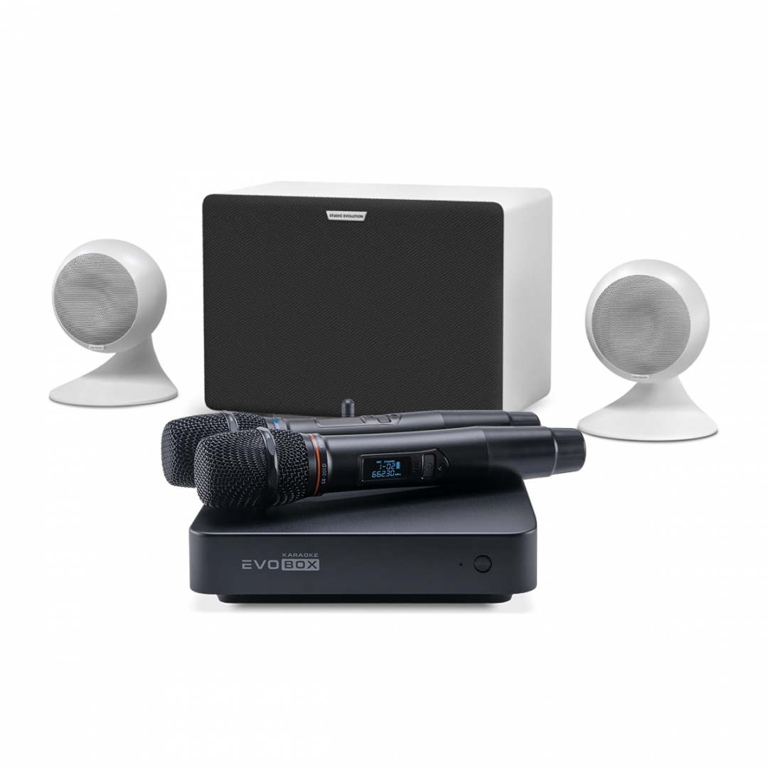караоке-комплект EVOBOX Classic + EvoSound Sphere 2.1 в Адыгее