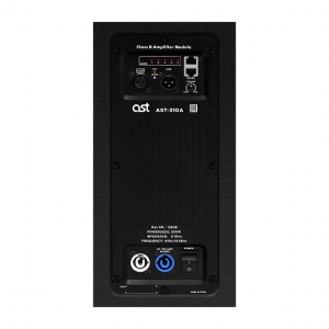 Активная акустическая система AST-310A в Адыгее