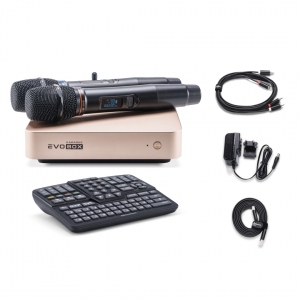 EVOBOX Plus караоке-система для дома в Адыгее