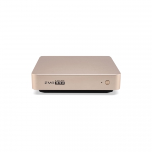 EVOBOX с микрофонами в Адыгее